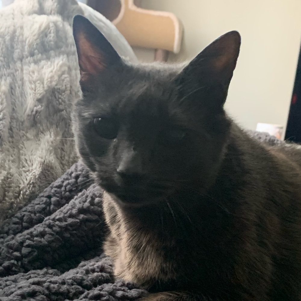 Meet your Posher, Maggie <3